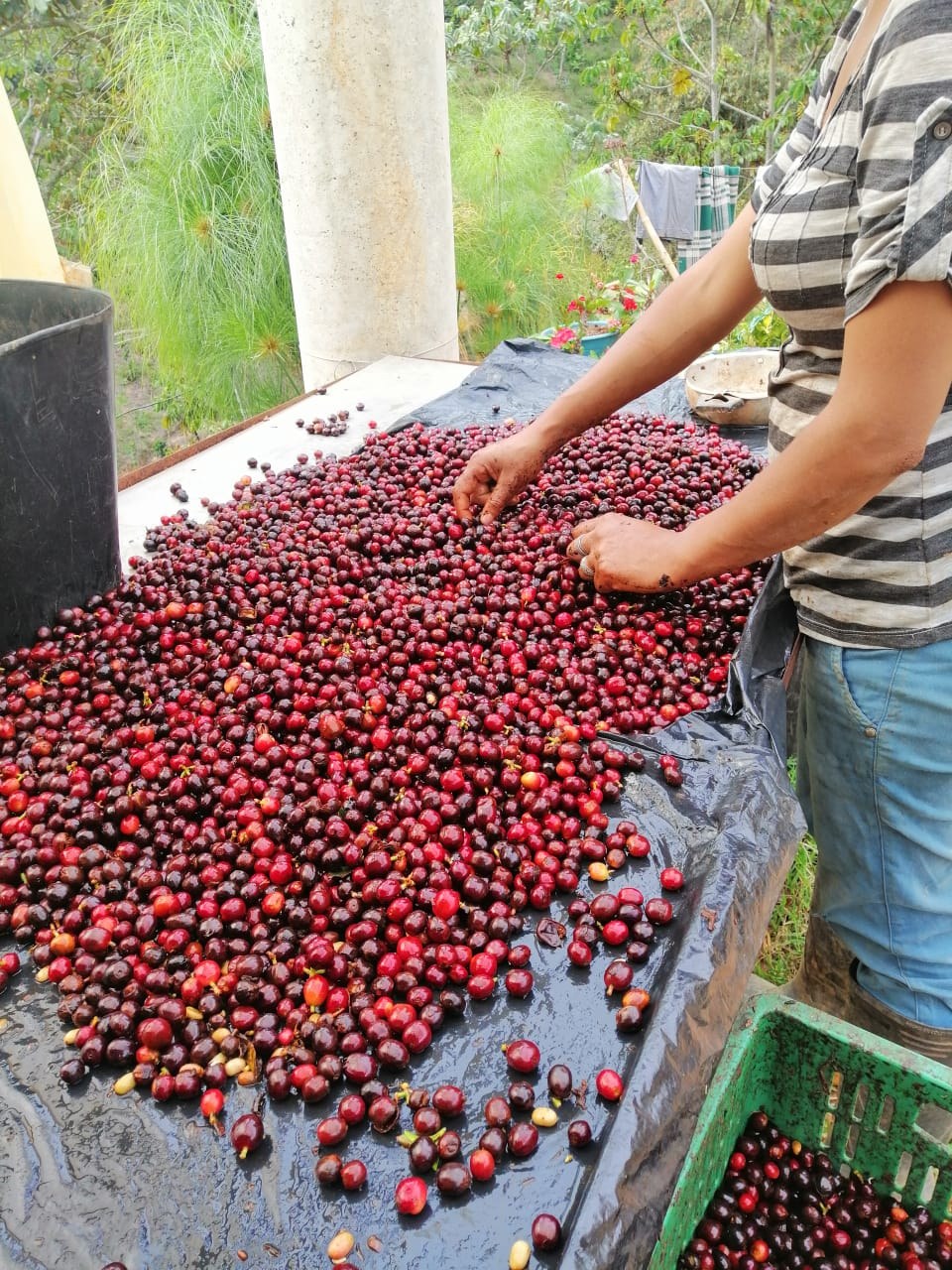 Pick Any Two Coffee Pair
